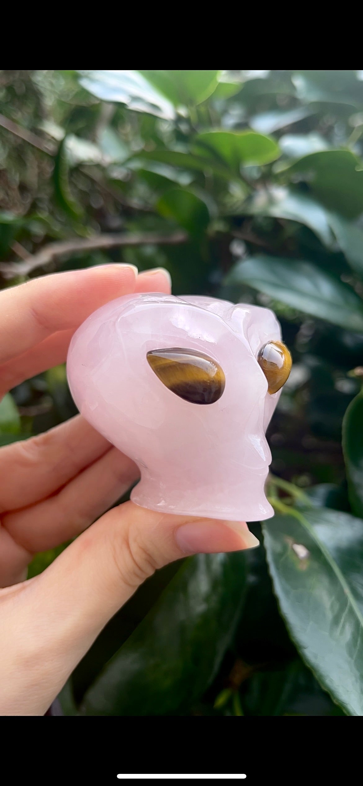 Rose Quartz & Tigers Eye Alien Heads (self standing) Intuitively chosen!