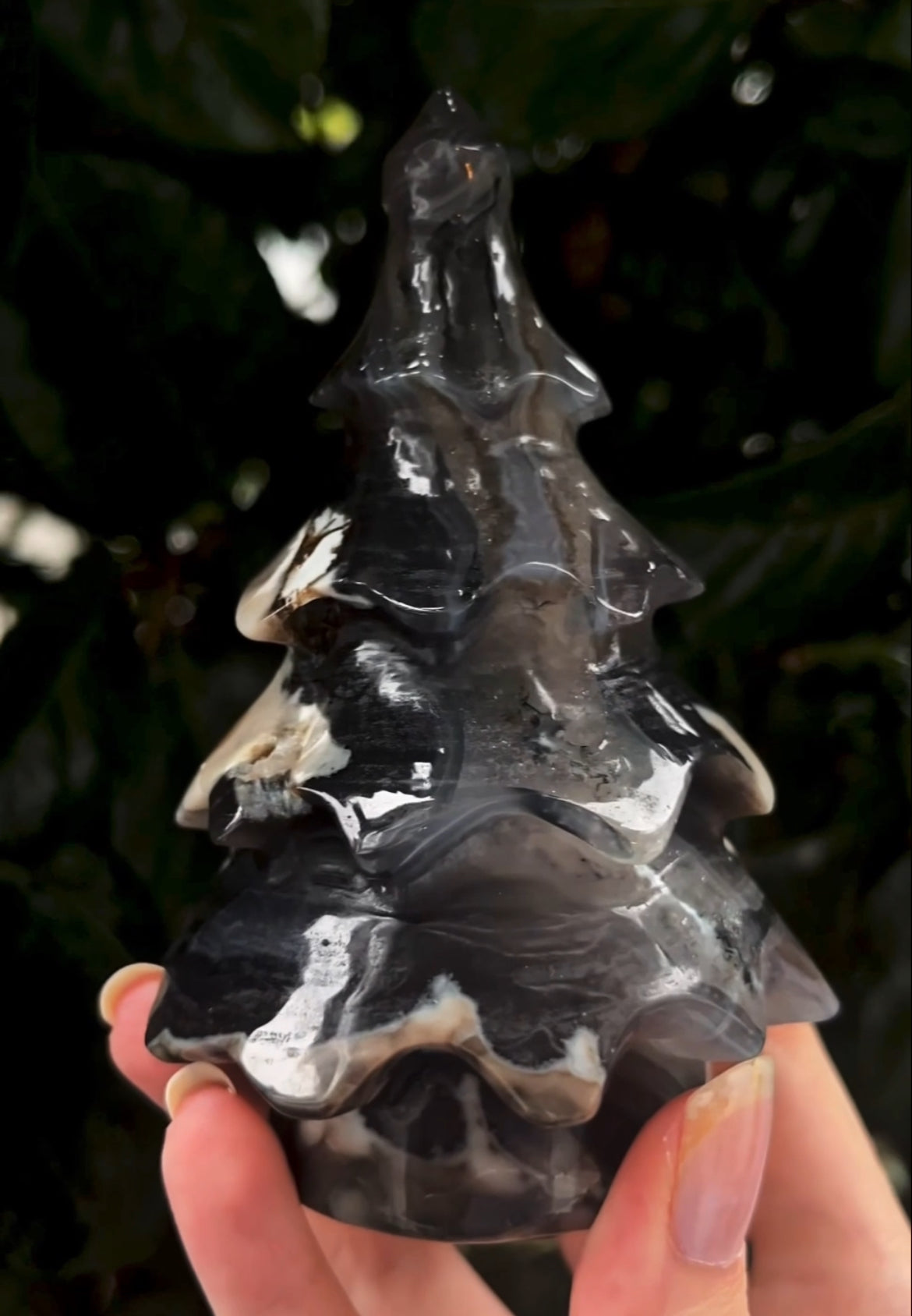 Large Volcanic Agate Tree ‘B’