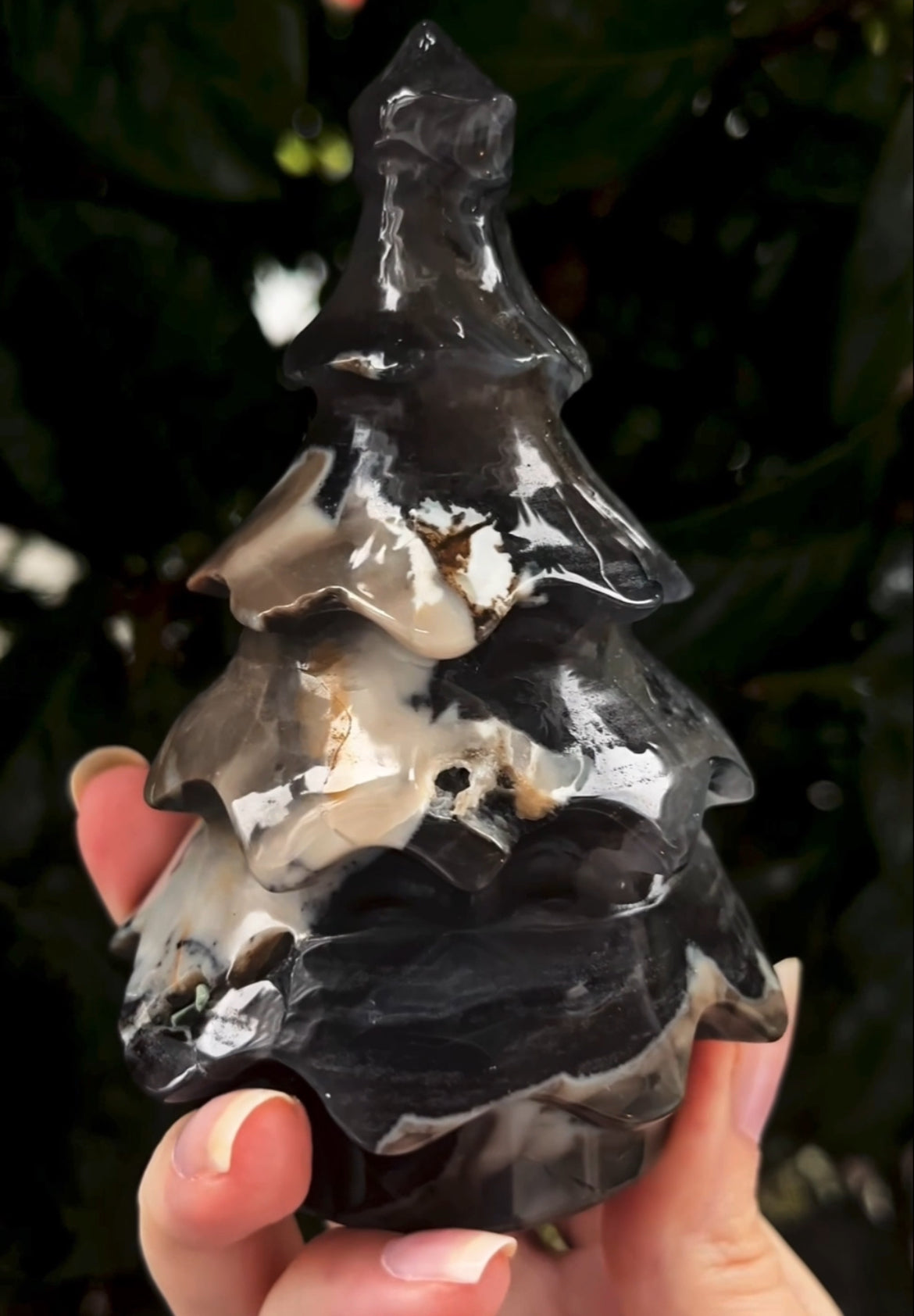 Large Volcanic Agate Tree ‘B’