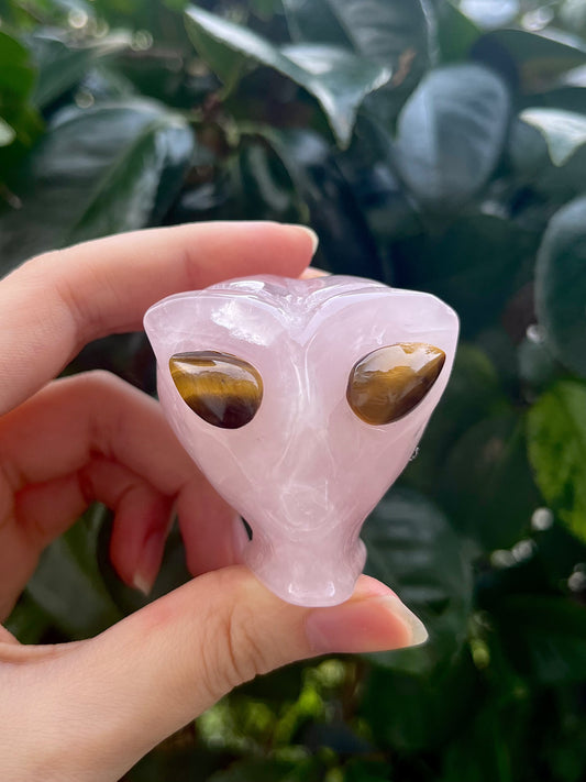 Rose Quartz & Tigers Eye Alien Heads (self standing) Intuitively chosen!
